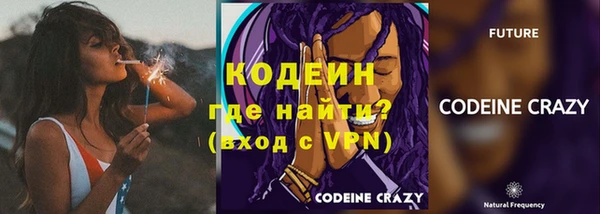 твердый Инта