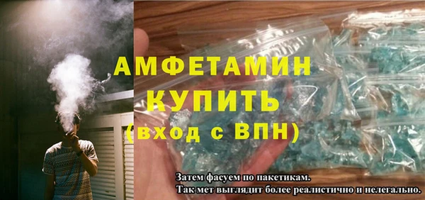 твердый Инта