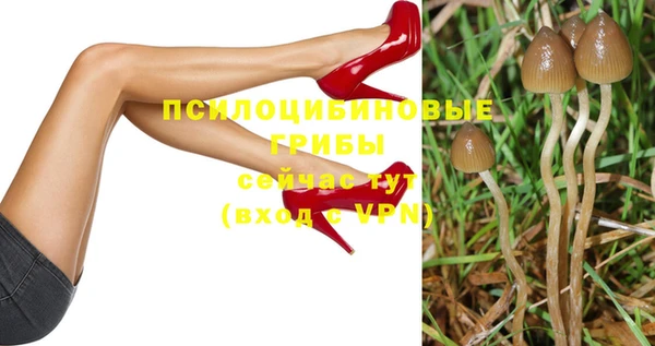 PSILOCYBIN Зерноград