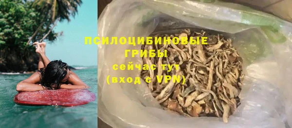 PSILOCYBIN Зерноград